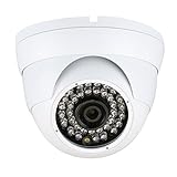 GW Security Inc VD1389IP 1/3-Inch HD-IP Camera with CMOS Sensor, 3.6mm CS Lens [並行輸入品]