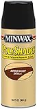Minwax 31340 Antique Walnut Satin Stain and Polyurethane 10.75-Ounce Spray [並行輸入品]