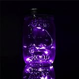amzmonnsuta　8LEDソーラーパワーぶら下がりガラスの瓶ランプ点灯　ガーデンコートヤード風景な装飾ライト