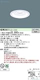 パナソニック 施設照明 NDW06611LE1 ポーチライト LED
