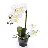 SUND　人工観葉植物　枯れない おしゃれ 大型 造花 コチョウランの植え インテリア 雑貨 可愛い　高品質　 結婚式 誕生日 発表会 入学式　卒業式　適用 ホワイト
