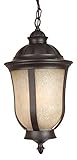 Craftmade Z6111-92 Hanging Lantern with Antique Scavo Glass Shades, Bronze Finish by Craftmade