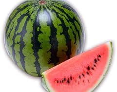 【2025年7月～8月発送分先行受付】長井市伊佐沢の大玉すいか約6～8kg×1玉_H055(R7)