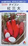 タキイ交配 紅三太ダイコン タキイ種苗のミニ大根品種です。