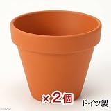 ドイツ製 テラコッタポット(内径9×高さ8.7cm) 穴有り SAA09-0 1個 2個