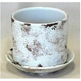 インテリアポット(植木鉢/プランター) ヘイジークラック ラウンド型/22cm 受皿付 クリーム 〔ガーデニング用品/園芸〕