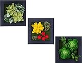 【La Bella】 ウォールグリーン 壁掛け 観葉植物 フェイクグリーン 人工 植物 造花 緑 インテリア (3個セットB)