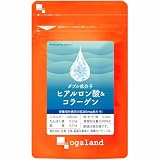 オーガランド(ogaland) W低分子ヒアルロン酸&コラーゲン(約1ヶ月分) サプリメント (ヒアルロン酸/コラーゲン含有) サプリ 美容サポートが気になる方に