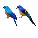 Flameer 鳥の装飾　2点セット　置物　現実的　人工フェザー　3種選択　工芸品　ホーム　ガーデン　高品質 - 小鳥