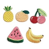 ワッペン アイロン 刺繍 フルーツ B果物5点セッ アップリケ 小さめ 5枚セット カラフル 果物 おしゃれ かわいい 入園 入学準備 NYANDELMO ND-0196-R02-BSET
