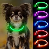 Candofly 光る首輪 小型犬 - 犬 散歩 ライト 充電式 LED 犬くびわ小型 光る 猫 首輪 犬散歩夜ライト (緑)