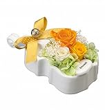 プリ雑貨 チェロ オレンジ PZ680O PZ680O