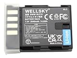 WELLSKY DMW-BLF19 / BP-61 / DMW-BLF19E 互換バッテリー [ 純正充電器で充電可能 残量表示可能 純正品と同じよう使用可能 ] パナソニック ルミックス シグマ