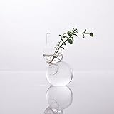 Baoblaze 家　フラワーベース　ホーム　ガラス　花瓶　　水耕栽培　容器　DIYボトル　飾り　インテリア　ひょうたん形　透明　2個入り　