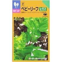 ベイビーリーフ Lettuce Seeds | Babyleaf | Leaf | CHAPMAN RZ | Rijk Zwaan USA