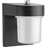 Lithonia Lighting OSC LED 120 PE BL M4 LED Entry Light, Black by Lithonia Lighting