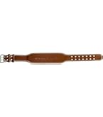 Amazon | ゴールドジム(GOLD`S GYM) ブラックレザーベルト G3367 XS