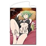 閃乱カグラ NewWave Gバースト B2タペストリー 日影 水着ver.