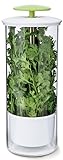 ガラスハーブストレージJar – Cilantro Rosemary Thyme – Pull Upデザイン – 5.25 X 12.25 in
