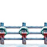 Beistle 1パックHoliday Fence Border、20インチby 30-feet