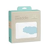 (エイデンアンドアネイ) aden+anais おくるみ スワドル aden+anis Single Organic Swaddle スカイ [並行輸入品]