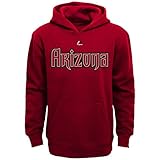 Arizona Diamondbacks Youth Wordmarkフリースプルオーバー( Yth Medium 10 / 12 )