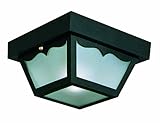 High Quality 502872 2 Light Indoor/Outdoor Ceiling Light, Black