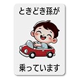 ときどき孫が乗っていますマグネットステッカー 車用安全サイン かわいいデザイン バリエーション豊富 グレー