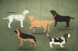 Dogs Mobile by Skyflight Mobiles [並行輸入品]