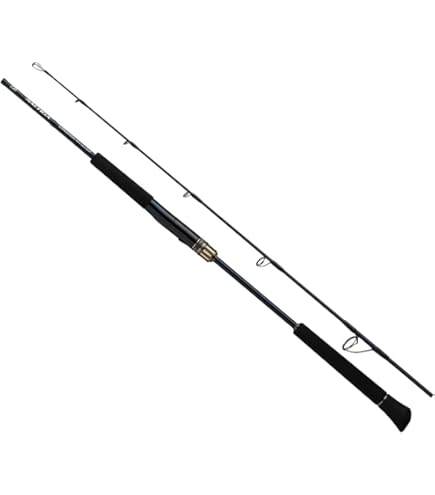美品☆未記入保証書付き☆ソルティガ エアポータブル C80HS 定価63.800円 遠征 3ピースロッド GTやヒラマサのボートキャスティングに! ダイワ 20 ソルティガ AP(エアポータブル) C80-8(C80-8): 竿｜釣具の