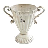 COVENT GARDEN ボトン・カップポット L BU-20