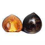 甘柿(カキ)苗木　黒柿（黒実柿）