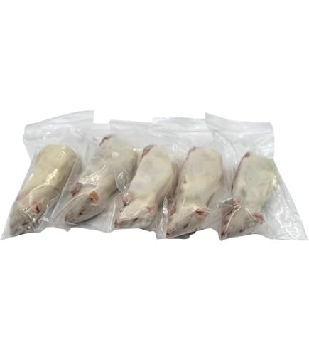 Amazon | 冷凍 ラット アダルト SSS 30サイズ(30g ~ 40g × 10匹セット