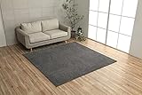 イケヒコ ラグ カーペット マット プリーム 約130×185cm グレー オールシーズン シンプル オーバーロック #3985419