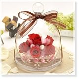 花花 プリザーブドフラワー アンジーの庭 ガラスドーム 入り （ バラ ） 枯れない お花 お祝い プチギフト プレゼント 【 メッセージカード / ラッピング 無料 】( ストロベリー レッド )