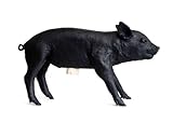 Areaware Bank in the form of a Pig、マットブラック