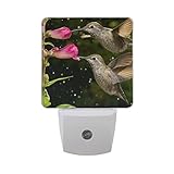 naanle 2つHummingbird Feedingピンク花の雨Fuzzyグリーン背景自動センサーLED Dusk to Dawnナイトライトプラグinインドアfor Adults