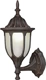 Forte Lighting 17023-01-28 Exterior Wall Light with Satin White Glass Shades Painted Rust [並行輸入品]
