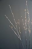 クリエイティブco-op Lighted Glitter Branch