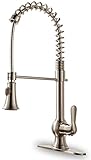 iSpring L8205BN Lead-free Single-Handle Commercial-Style Pull-Down Kitchen Faucet, Brushed Nickel [並
