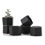 T4U 7CM 陶器ミニ植木鉢 六角形 マット表面 多肉植物 サボテン鉢 フラワーポット プランター容器 黒 6個入り