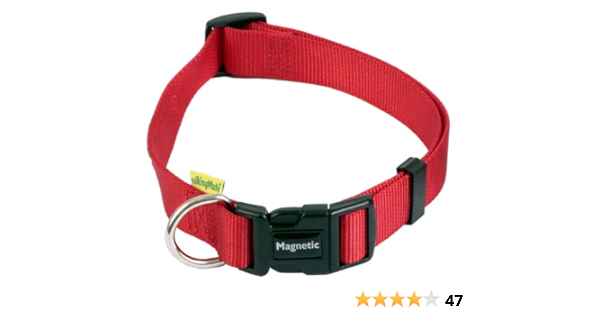 Amazon Co Jp アニメイト Animate ワンちゃん用 マグネット ドッグカラー 犬用 首輪 お散歩 ペット用品 45 65cm レッド Clothing Accessories