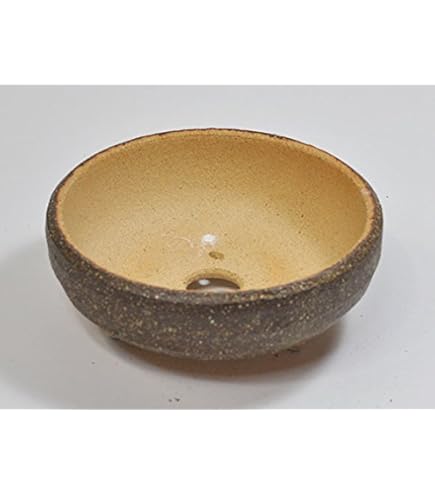 盆栽小鉢　6鉢 3d1feee969718fc0bb3556f4beb34c