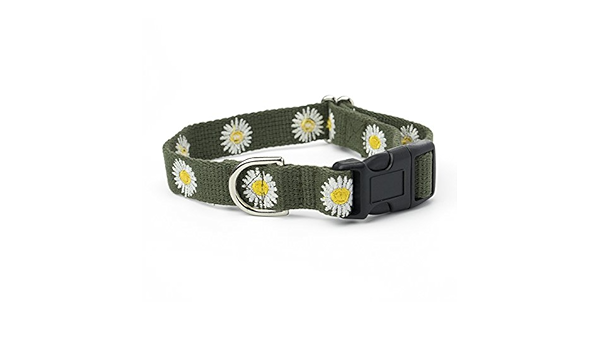 Amazon ジョージ デイジーカラー オリーブ Sサイズ George ジョージ ベーシック首輪 通販