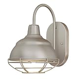 Millennium Lighting 5321-SN Outdoor Wall Light [並行輸入品]