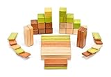 おもちゃ 52 Piece Tegu Original Magnetic Wooden Block Set Jungle [並行輸入品]