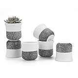 T4U 6CM 陶器ミ二植木鉢 韓国風の雪花シリーズ No.1 多肉植物 サボテン鉢 フラワーポット プランター容器 6個入り