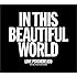 IN THIS BEAUTIFUL WORLD（アナログ）