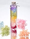 ハーバリウム植物票本 ギフトバック付き　レインボウ