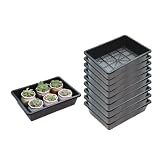 BeGrit 育苗ポット 苗トレー 10セット32x23cm育苗トレイ育苗箱 苗床 トレイ稚苗用苗箱 プラスチックプラントトレイ ガーデン苗スターターキット 多肉植物輸送ポット盆栽トレーニングポット家庭園芸(ブラック)